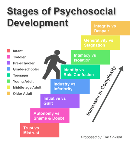 Stages Of Lifespan Development Chart